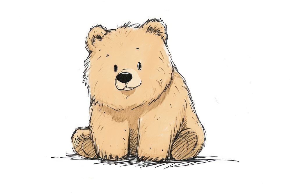 Hand-drawn sketch bear mammal animal cute.