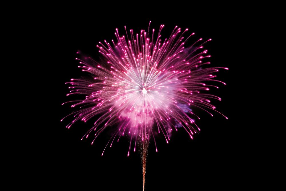 Pink fireworks launching in the sky plant black background inflorescence. AI generated Image by rawpixel.