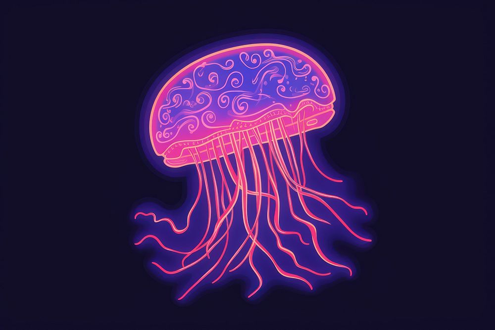 Jellyfish nature night invertebrate.