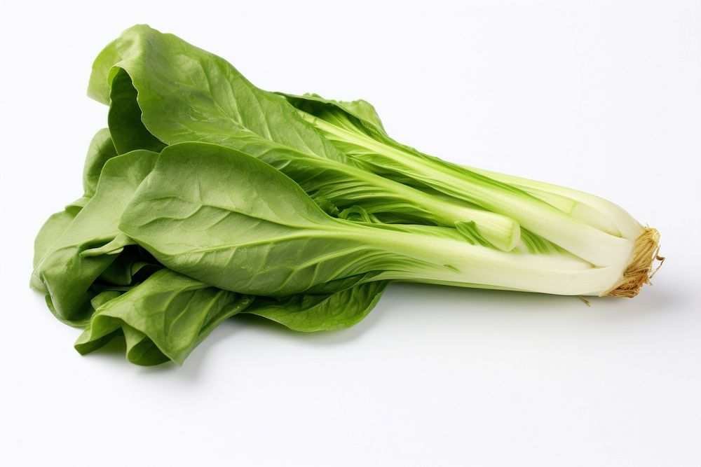  Bok choy vegetable plant food ingredient. AI generated Image by rawpixel.