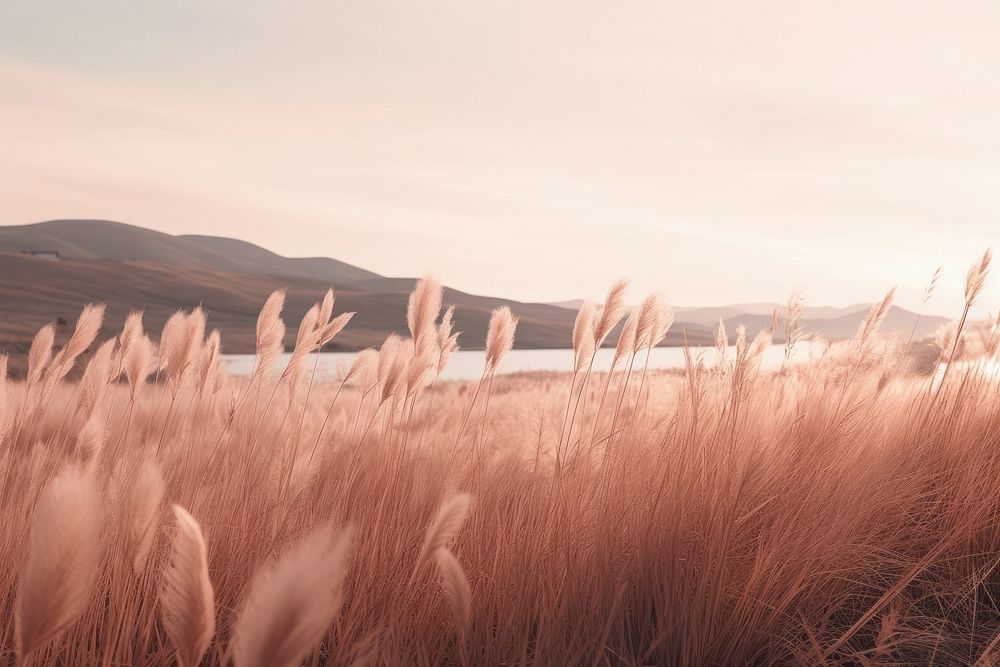  Pampas landscape outdoors nature. AI generated Image by rawpixel.