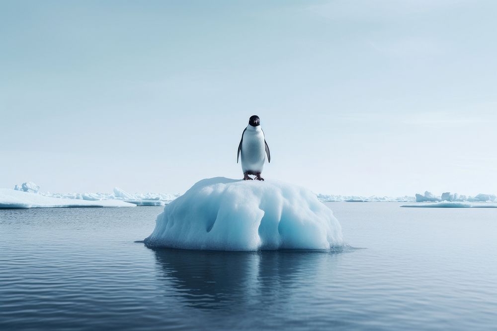 A penguin standing on melting ice berg outdoors nature tranquility. AI generated Image by rawpixel.