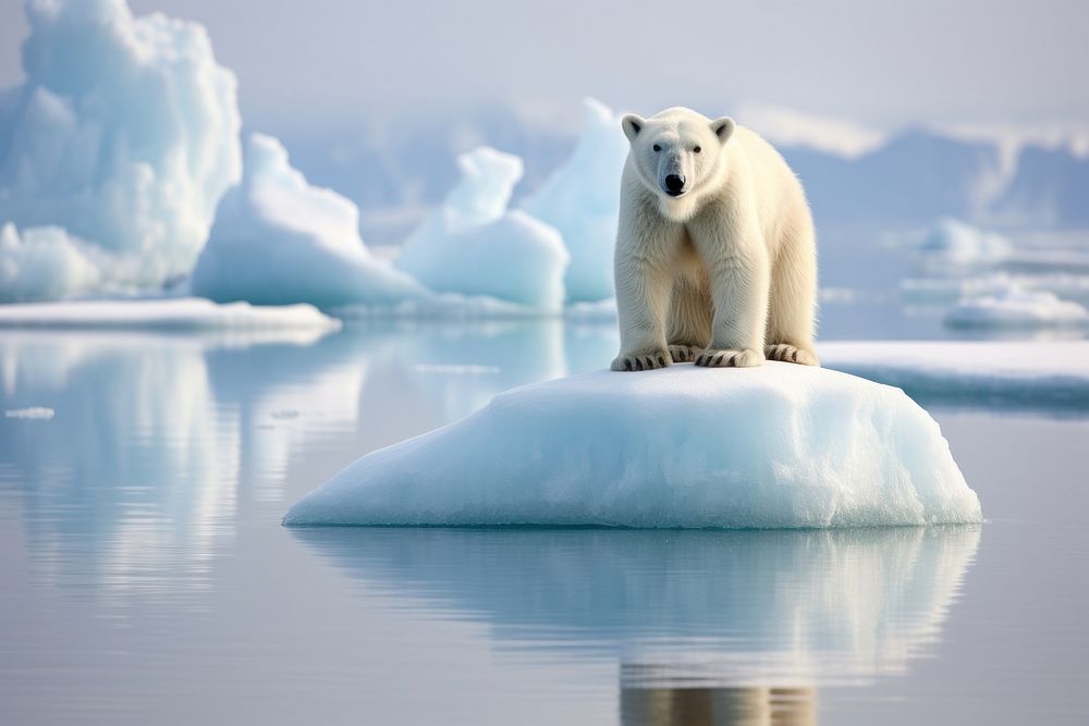 Polar bear standing on small ice berg wildlife outdoors nature. AI generated Image by rawpixel.