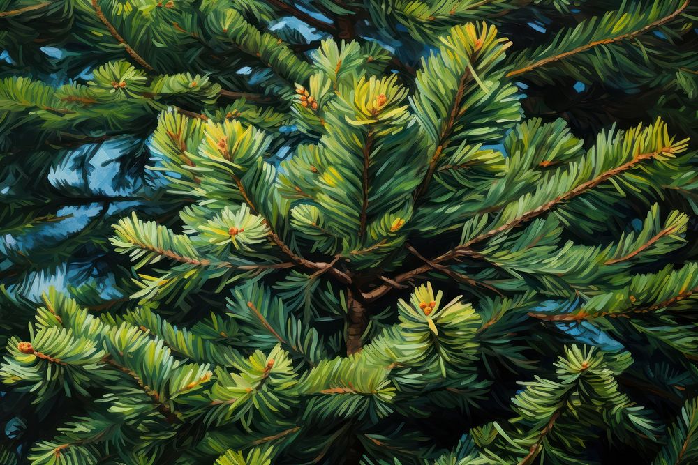  Evergreen outdoors nature spruce. AI generated Image by rawpixel.