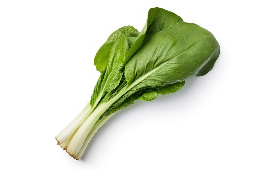  Bok choy vegetable plant food ingredient. AI generated Image by rawpixel.