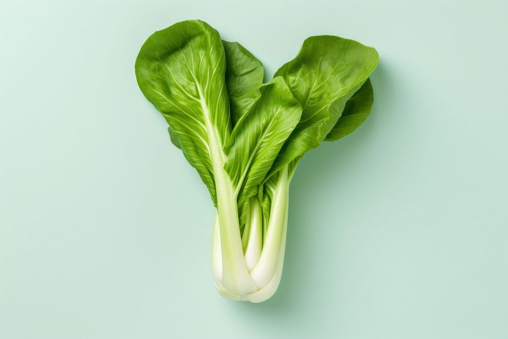  Mini bok choy vegetable plant food ingredient. AI generated Image by rawpixel.
