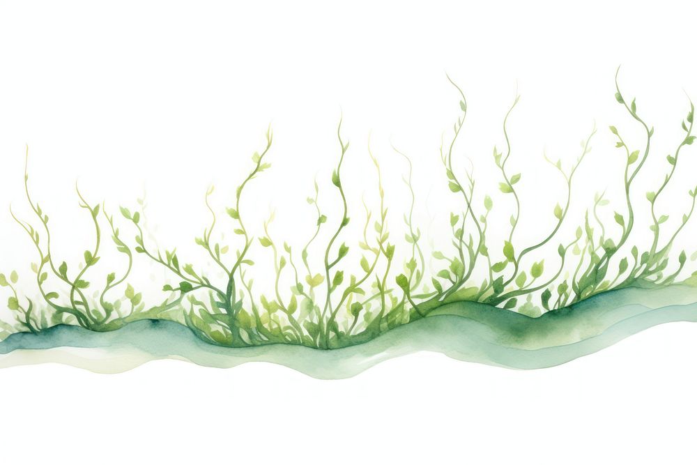 Seaweed border outdoors painting pattern.