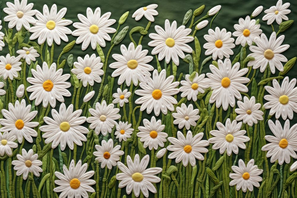 Daisy flower repeated pattern outdoors nature plant.