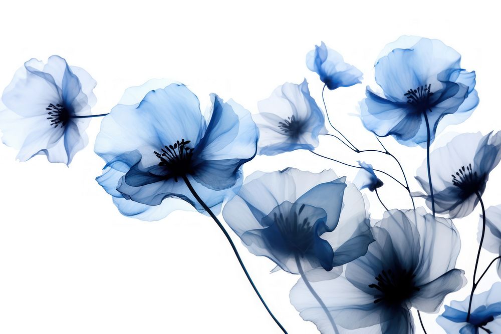  Ink blue flowers petal plant white. AI generated Image by rawpixel.