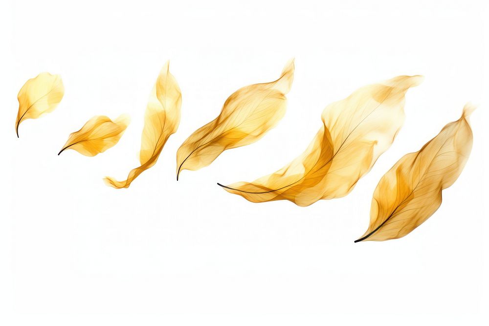  Ink gold leaves petal leaf white background. AI generated Image by rawpixel.
