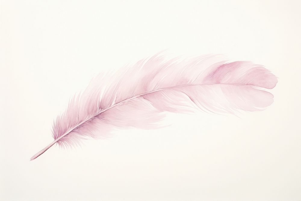 Minimal horizontal clean feathers with shape edge in bottom border nature lightweight backgrounds.
