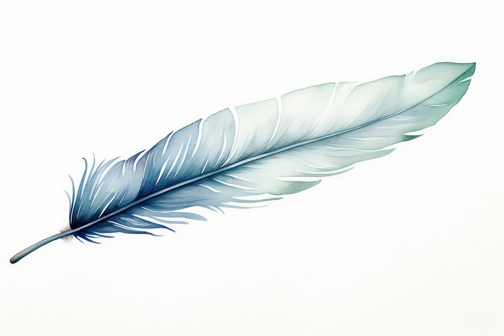 Minimal horizontal one feather with shape edge in bottom border nature white leaf.