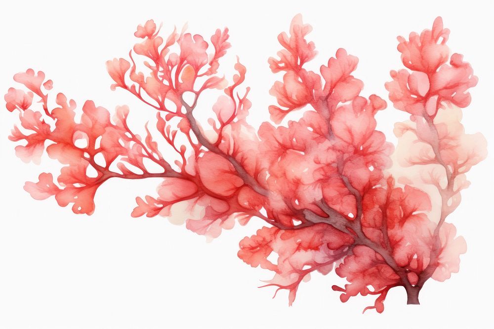 Coral painting plant splattered.