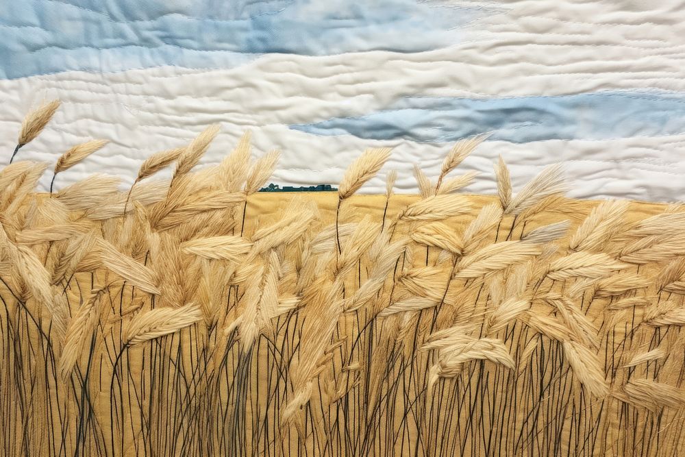 Wheat field blue sky landscape textile plant.