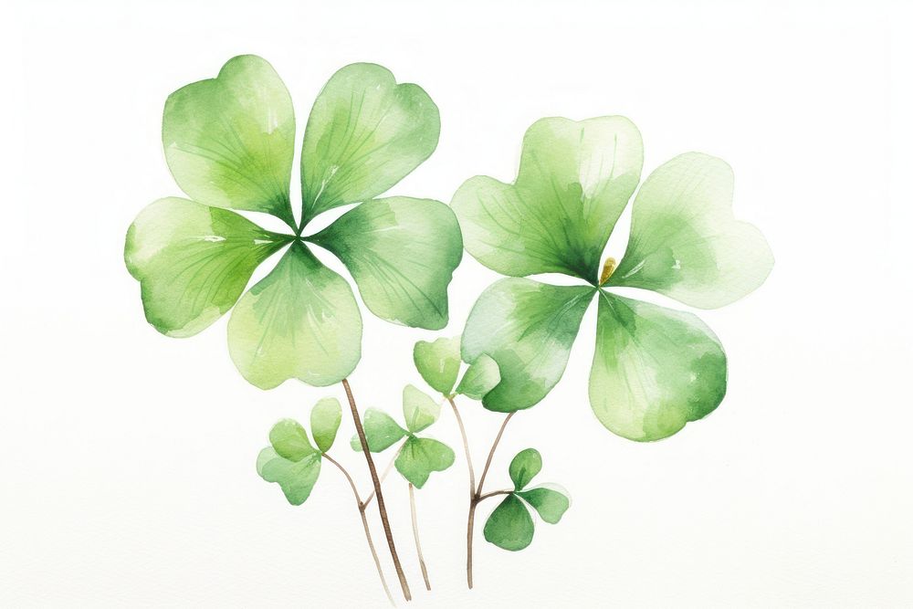 4 clover leaf drawing plant white background. AI generated Image by rawpixel.