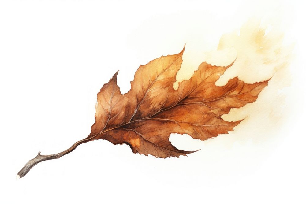 Burnt leaf drawing plant tree. AI generated Image by rawpixel.