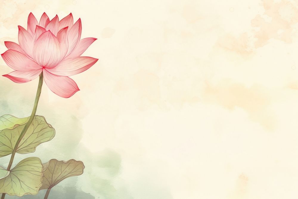 Lotus blooming flower plant petal. AI generated Image by rawpixel.