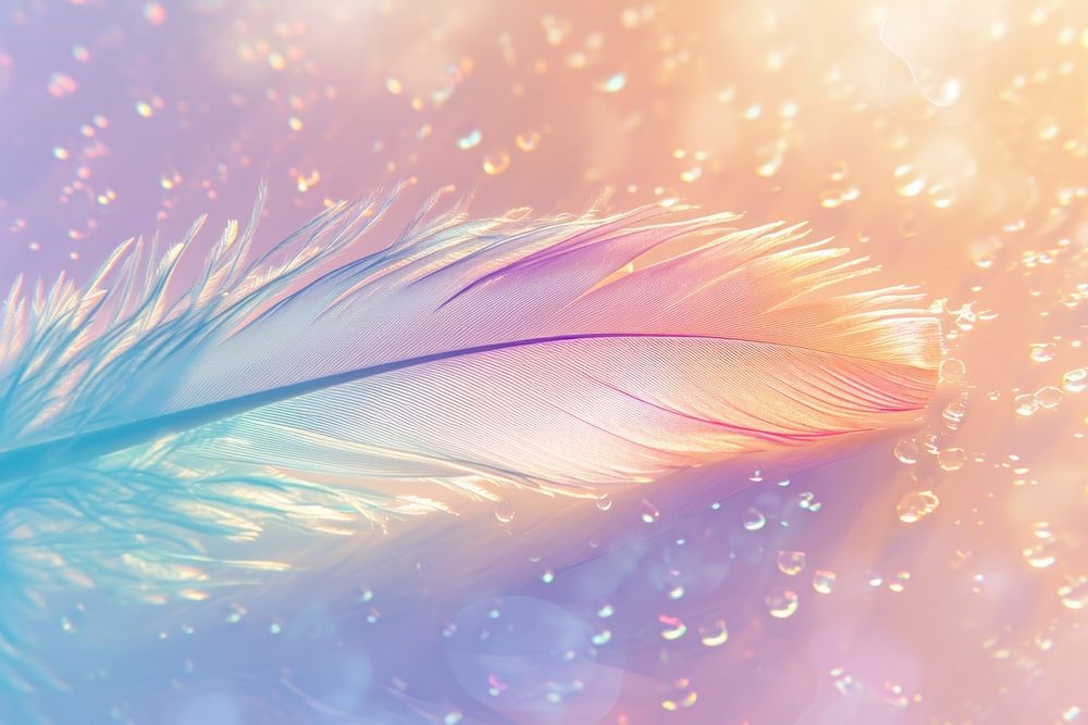 Feather pattern art backgrounds.