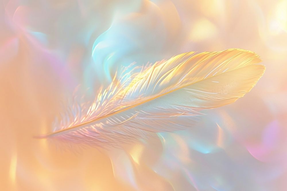 Feather pattern lightweight backgrounds.