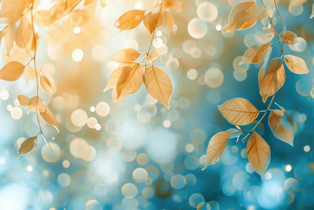 Leaf icon pattern bokeh effect background backgrounds sunlight outdoors.