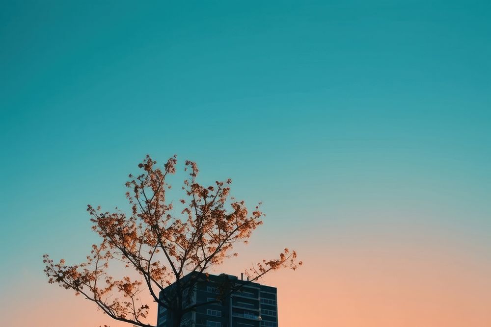  City outdoors nature sky. AI generated Image by rawpixel.