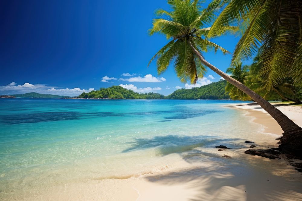 Tropical beach landscape outdoors tropical. AI generated Image by rawpixel.