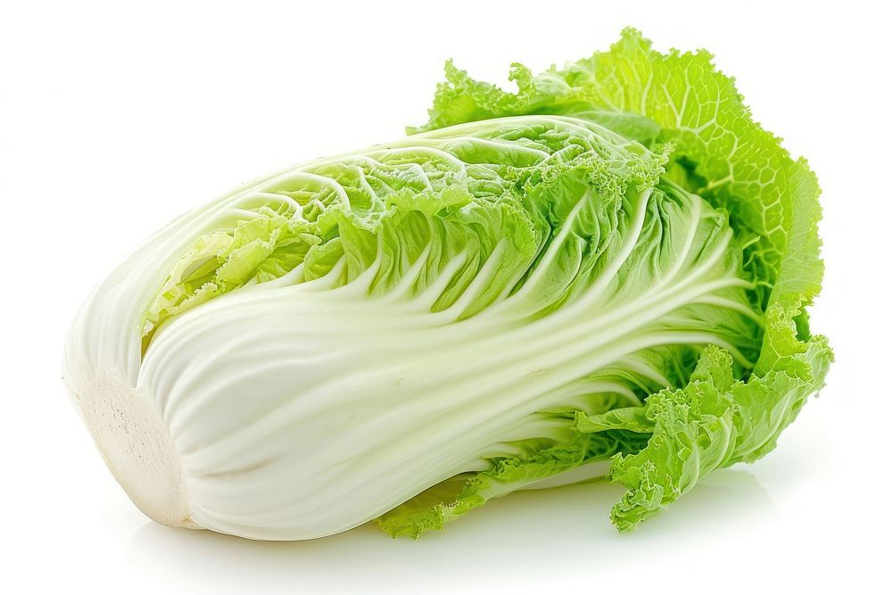 Chinese cabbage vegetable plant food.
