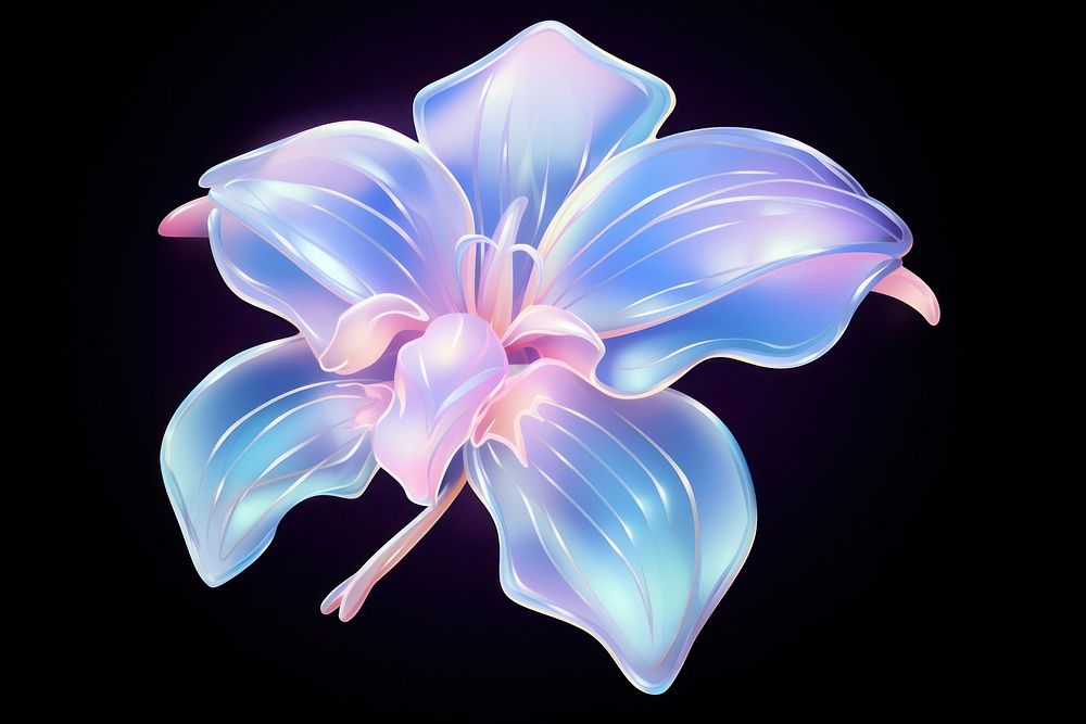 A orchid flower petal plant inflorescence.