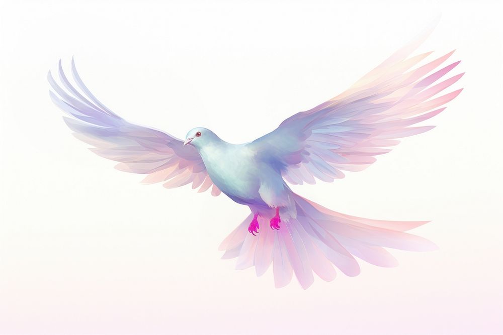 A dove flying in the sky animal pigeon bird.