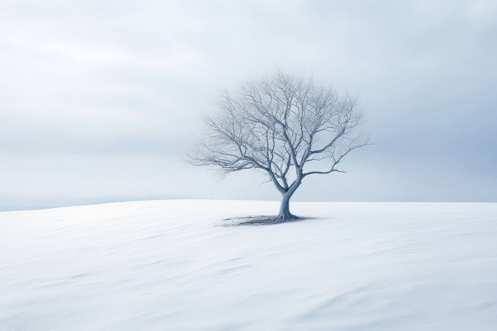 Snow landscape tree tranquility. AI generated Image by rawpixel.