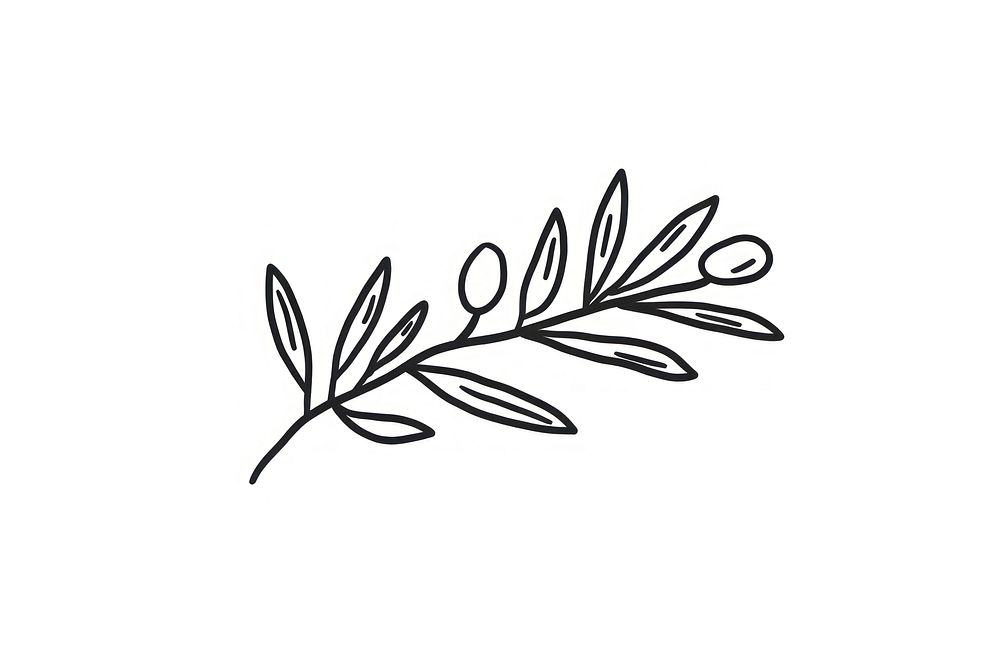 Minimal illustration of an olive branch drawing sketch plant.