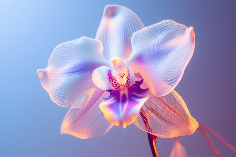 An orchid flower petal plant. AI generated Image by rawpixel.