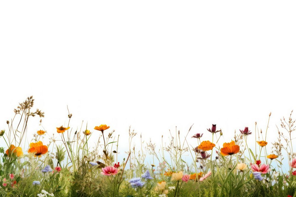 Wildflower border grassland outdoors nature. AI generated Image by rawpixel.