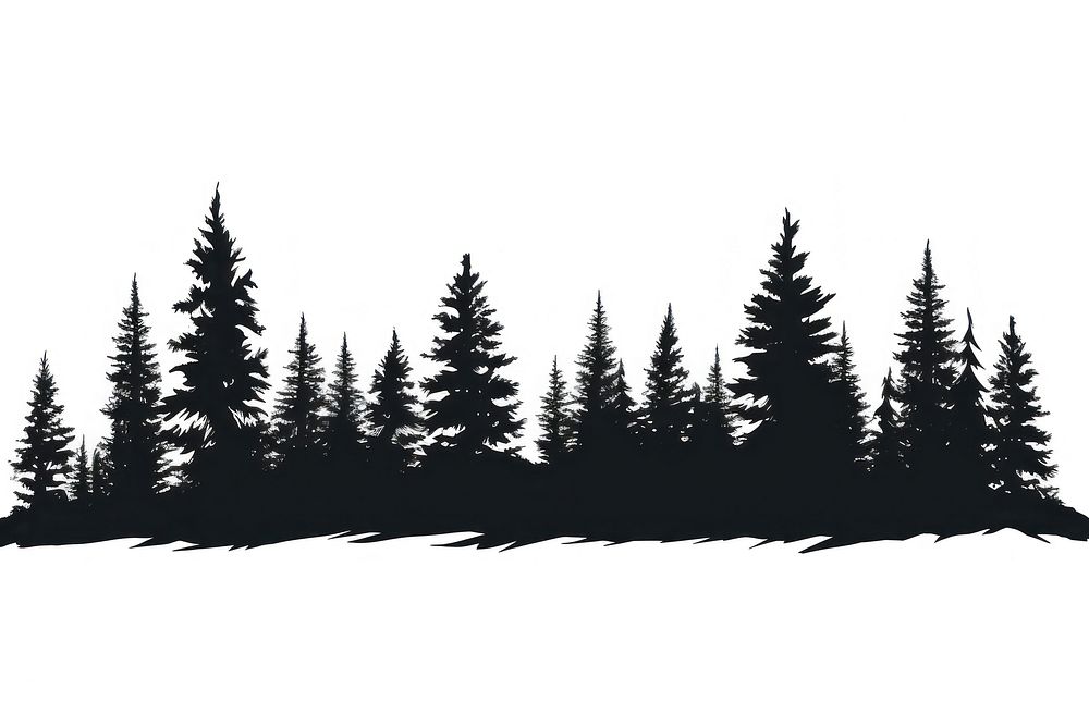 Silhouette of pine trees sketch plant fir.