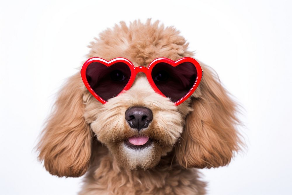 Dog wearing glasses of red heart shape sunglasses portrait mammal. AI generated Image by rawpixel.