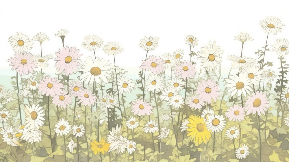 Illustration of a daisy feild backgrounds outdoors pattern.