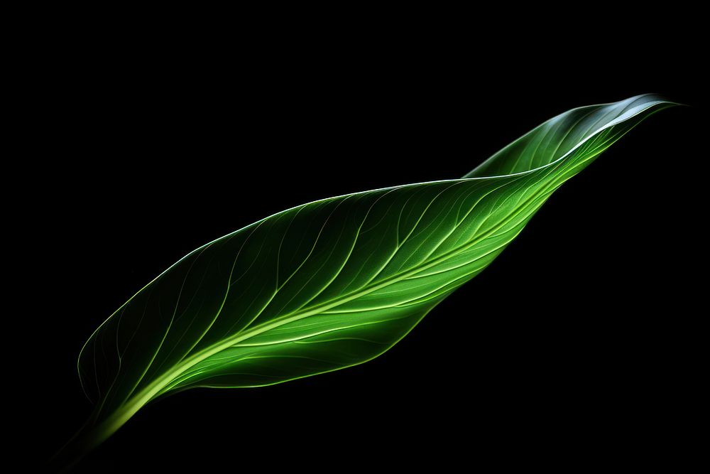 Green leaf technology light effect stripe line.