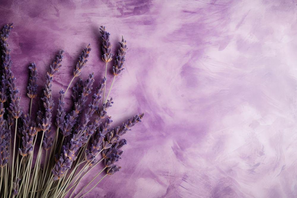 Lavender background lavender backgrounds flower.