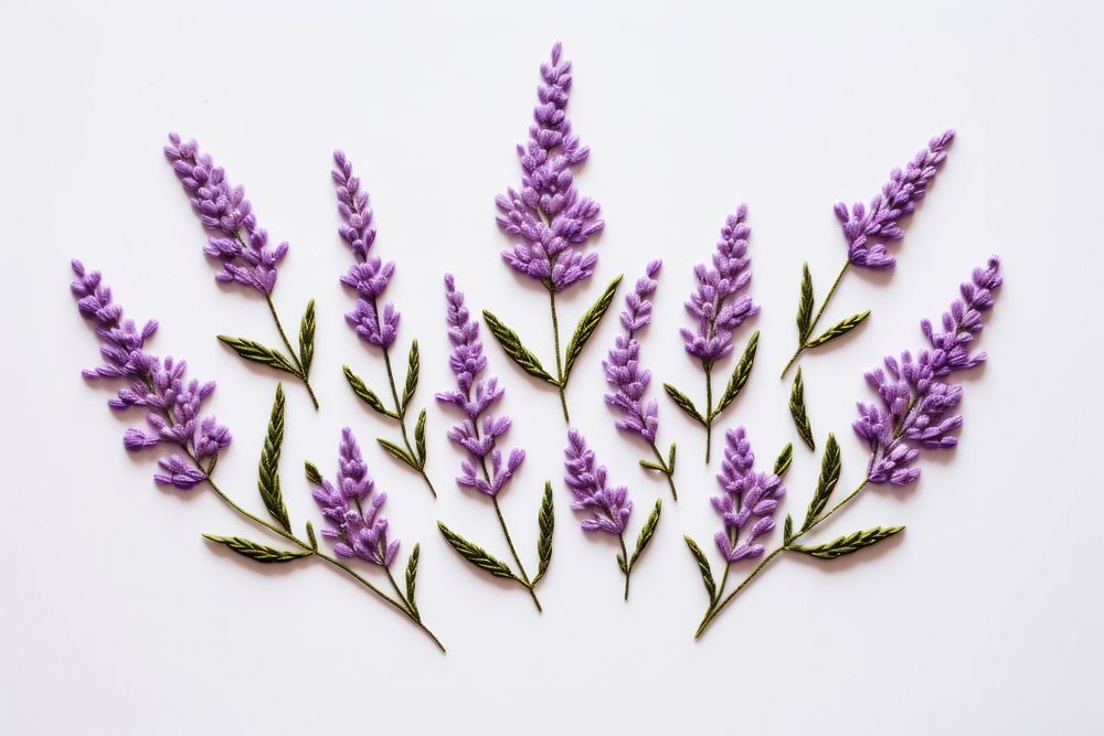 Embroidery floral frame Lavender lavender.