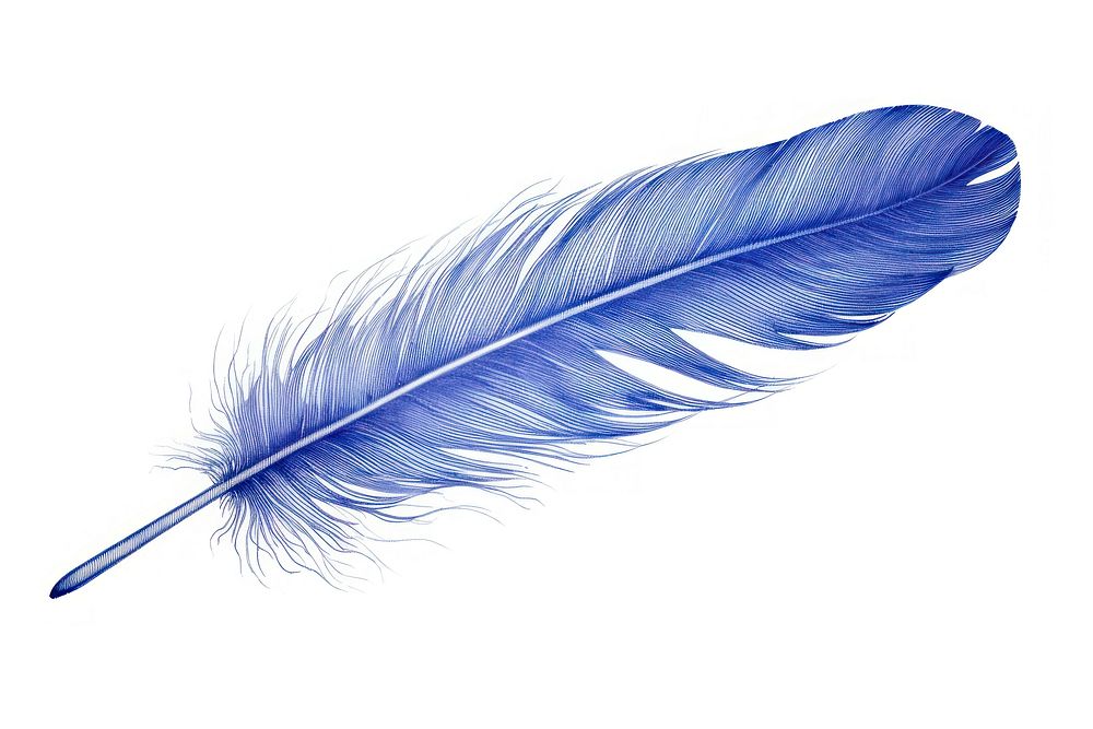 Drawing feather blue lightweight accessories.
