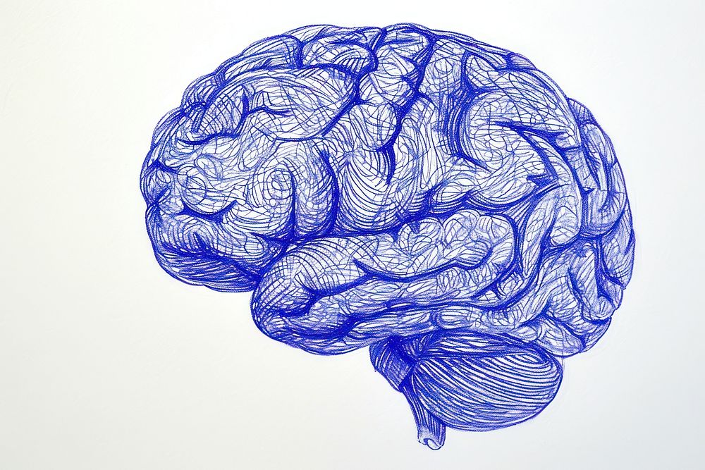 Drawing brain sketch blue illustrated.