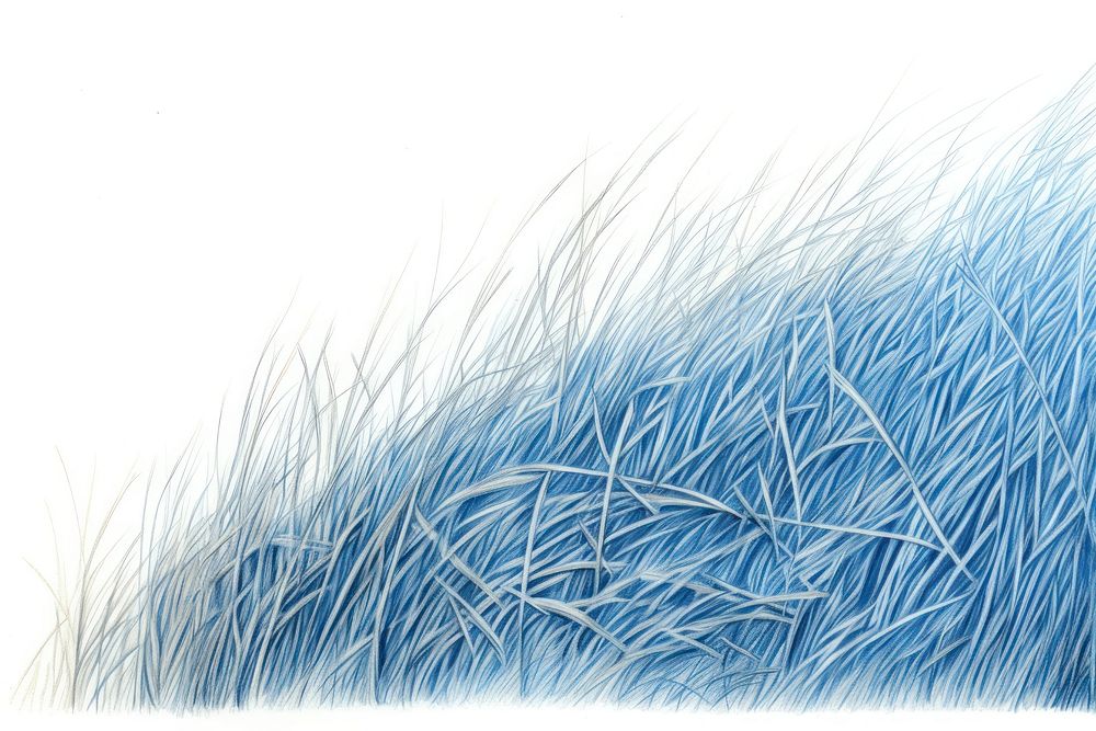 Drawing grass field outdoors nature sketch.