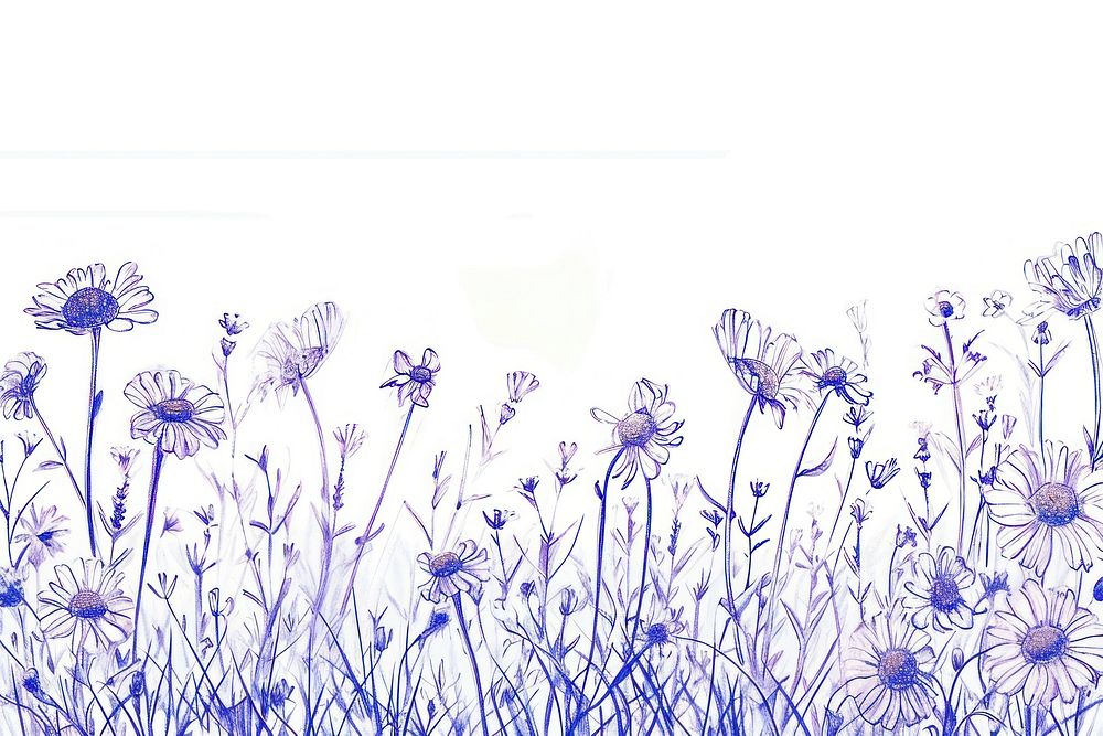 Vintage drawing daisy meadow sketch outdoors pattern.