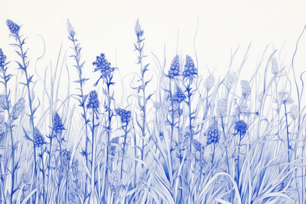 Drawing peont meadow sketch outdoors nature.