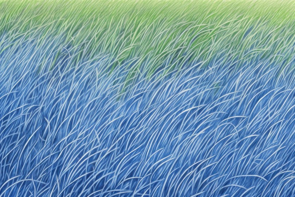Drawing grass field outdoors nature plant.