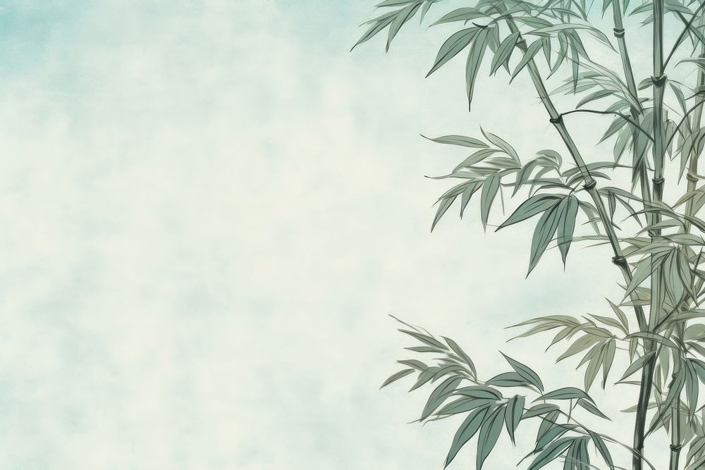 Bamboo backgrounds plant tranquility.