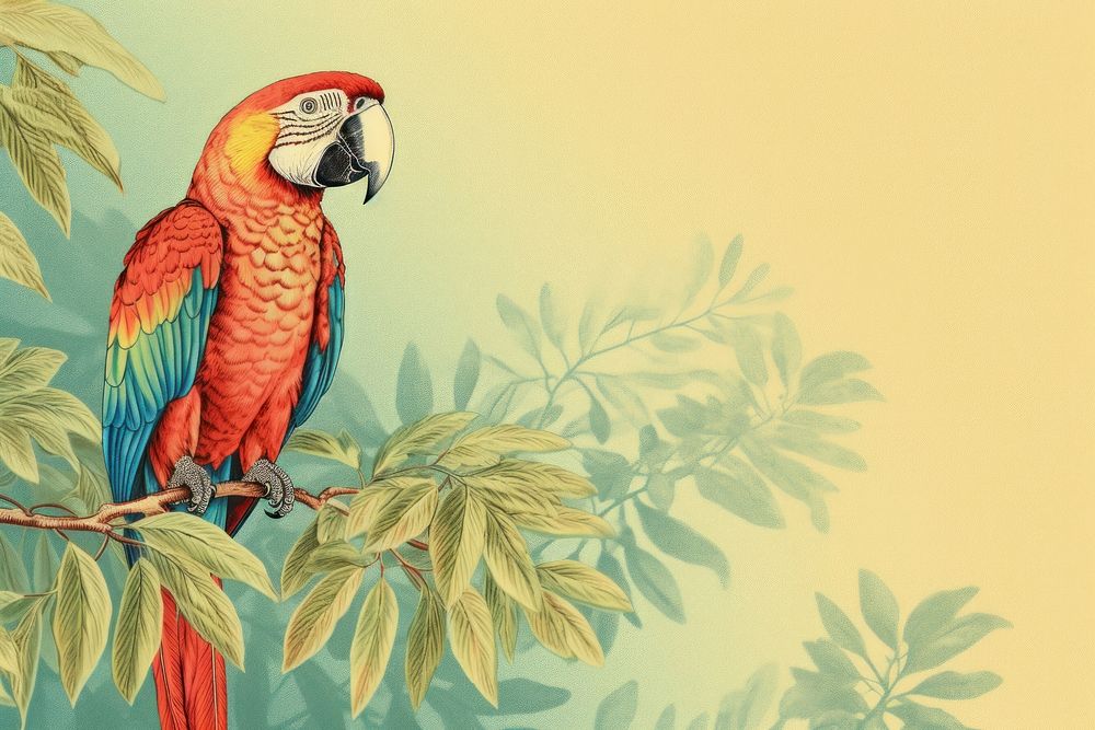 Parrot animal macaw bird.
