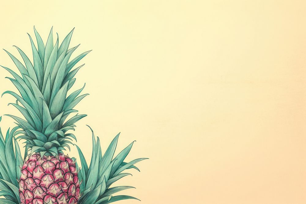 Pineapple backgrounds fruit plant.