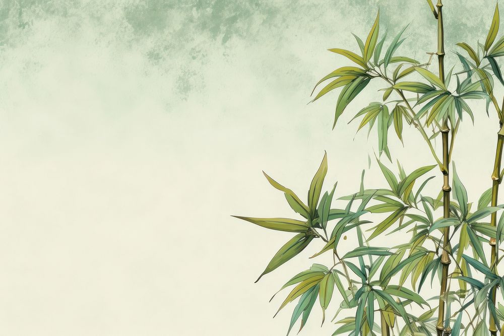 Realistic vintage drawing of bamboo border backgrounds plant tranquility.