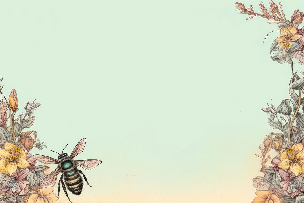 Realistic vintage drawing of bee border backgrounds insect animal.